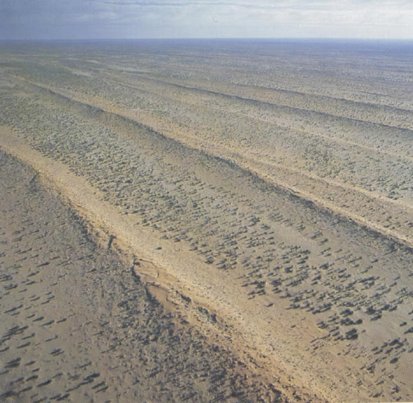 deserts are growing